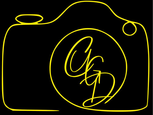 Film3 Cameras Up Guns Down Community Merch